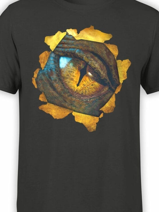 0172 Lord of the Rings T Shirt Smaug Front Color