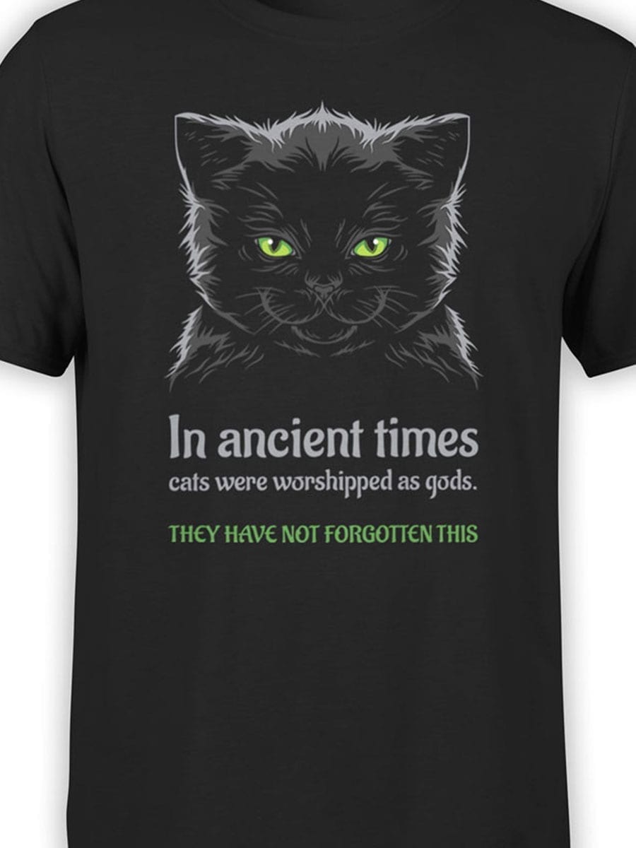 2026 Ancient Cats T Shirt Front Color