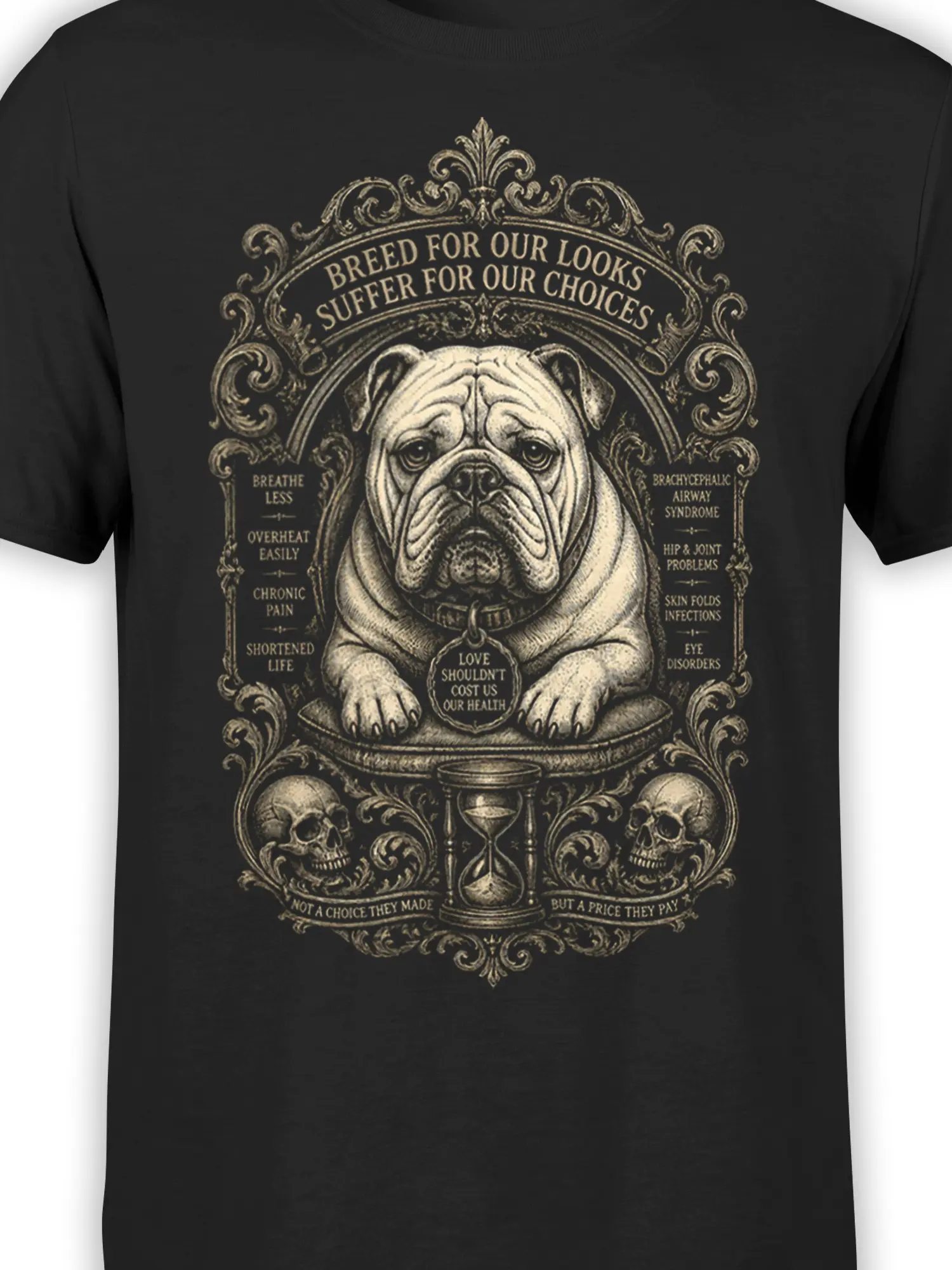 Close-up of vintage bulldog artwork with health message, ornate frame, skulls, hourglass, and cream lettering