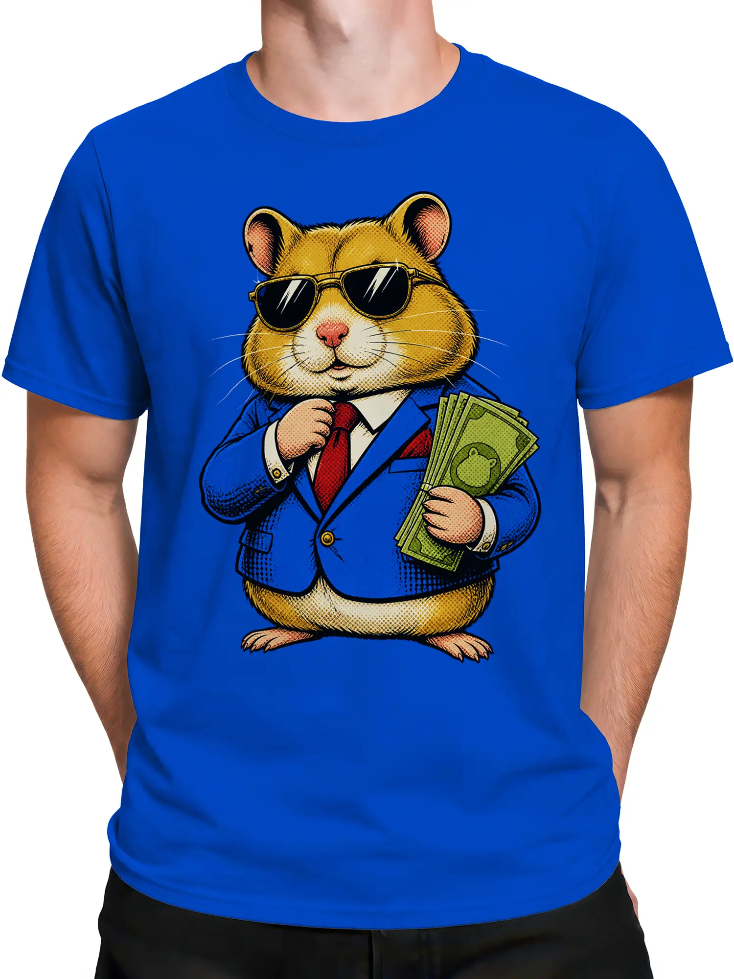 Male torso wearing a blue cat T-shirt with sunglasses, a suit, red tie, and cash graphic