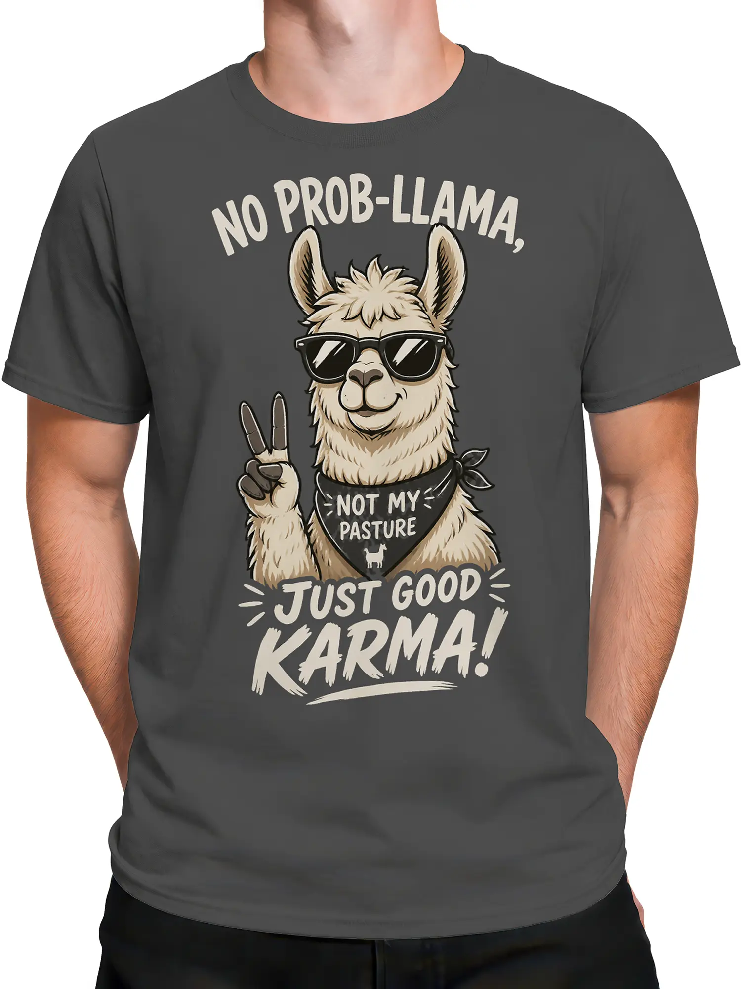 Male torso wearing a gray llama graphic T-shirt with sarcastic pasture and karma lettering