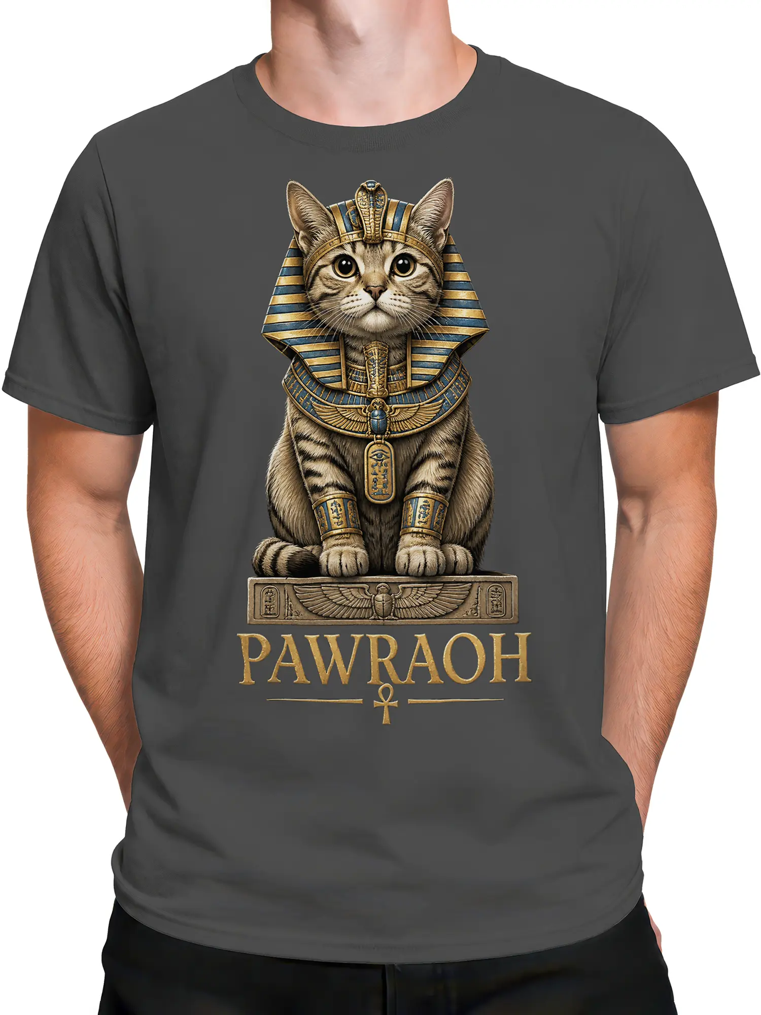 Male torso wearing a gray Pawraoh Egyptian cat graphic T-shirt