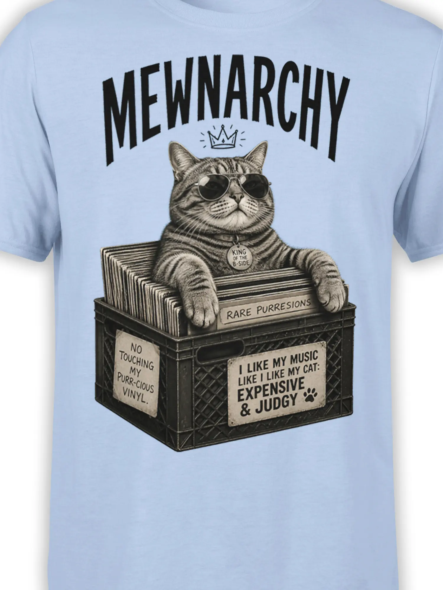 Close-up of crowned tabby cat in sunglasses with vinyl records and sarcastic text on a light blue shirt
