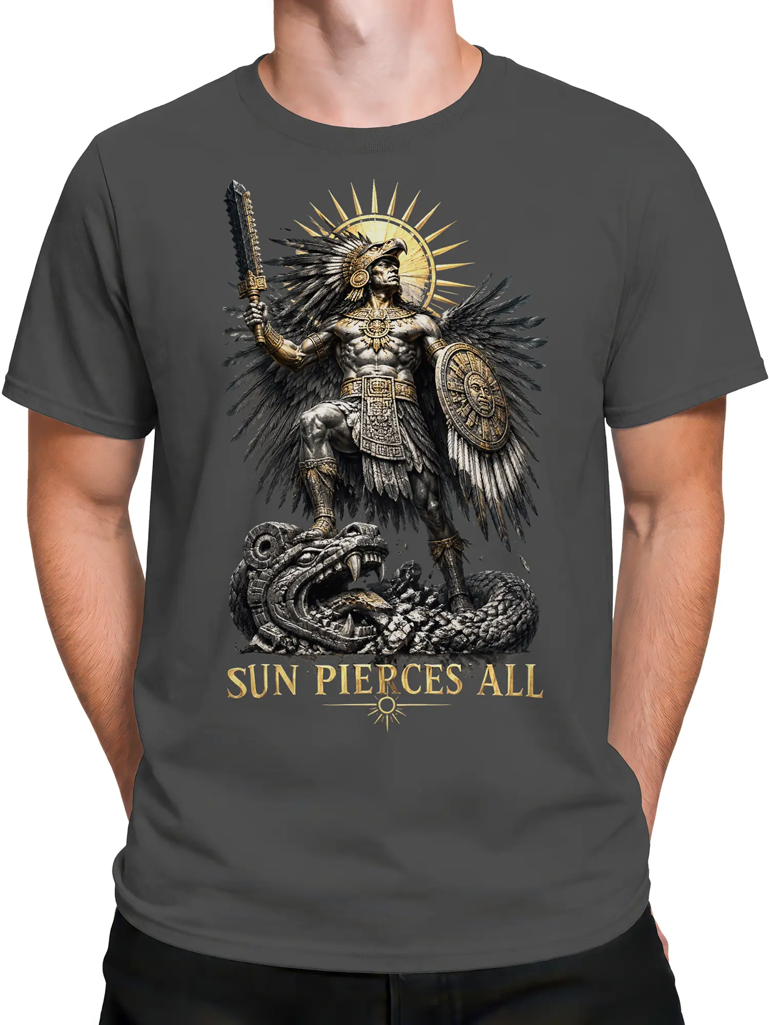 Male torso wearing a gray T-shirt with mythic sun warrior and coiled creature graphic