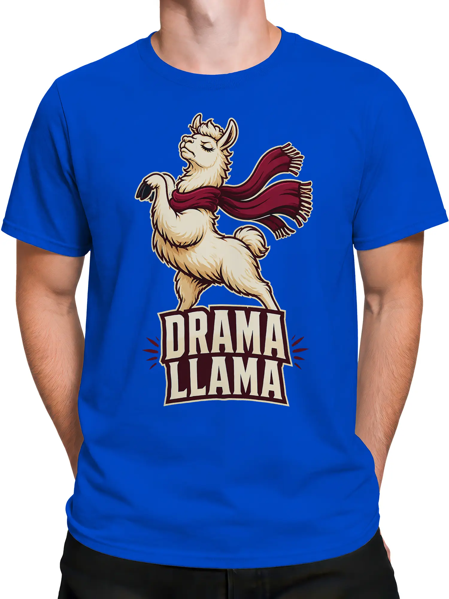 Male torso wearing a blue T-shirt with a scarf-wearing llama graphic